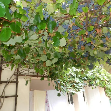 With Free Car Parking, Wifi And Bikes For Free Laibach