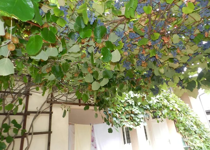 With Free Car Parking, Wifi And Bikes For Free Lublaň